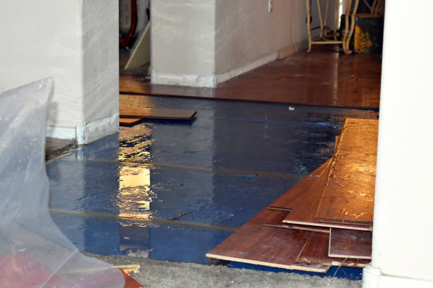 Professional Water Damage Restoration technician working in Niles, MI